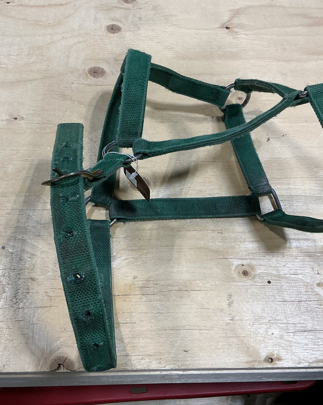 Halter nylon green