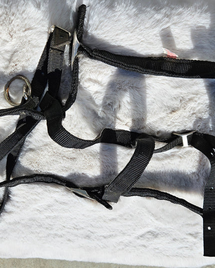 Halter Lunging Cavesson