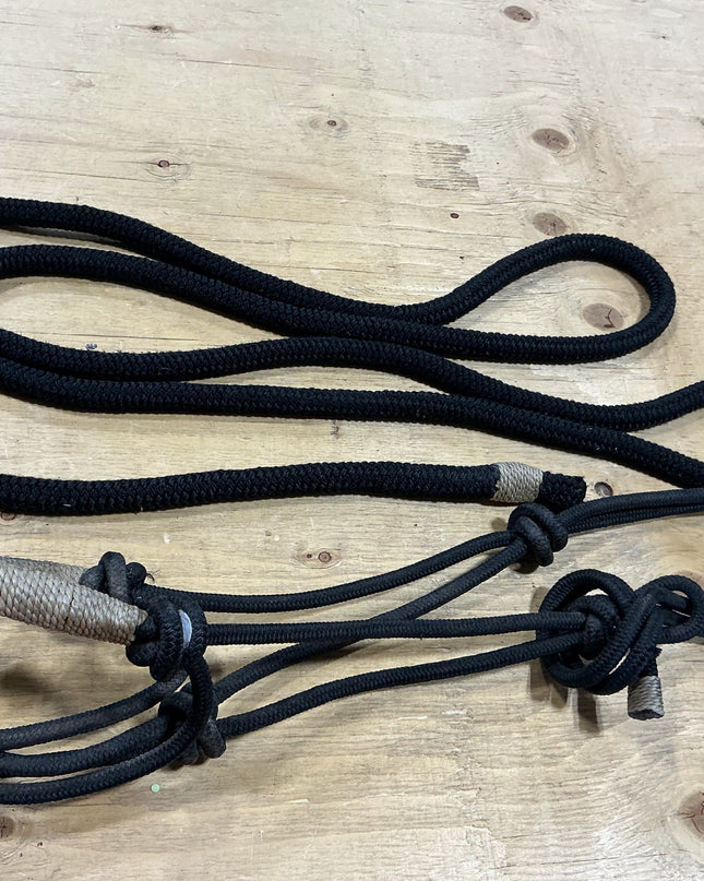 Halter rope with lead Black rawhide noseband