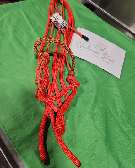 Hackamore Orange Loping