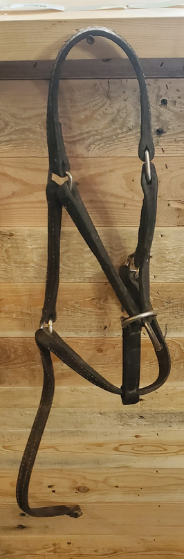 Halter Leather  Youth
