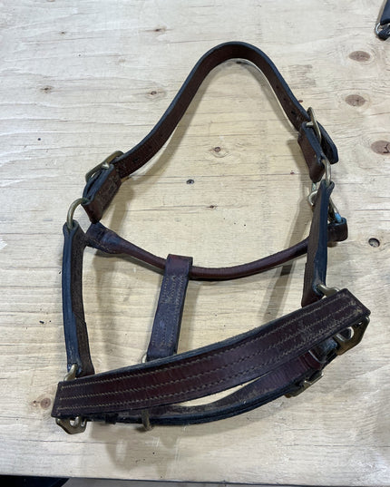 Halter Leather Brown Horse Size