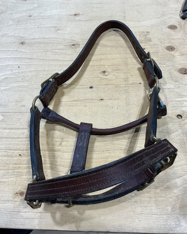 Halter Leather Brown Horse Size