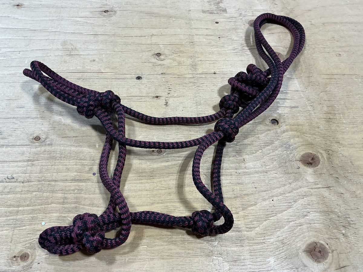 Halter – Rope, Burgundy/Black | Used