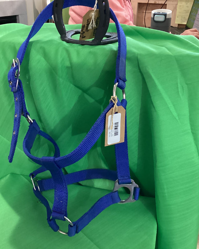 Halter Nylon Blue full