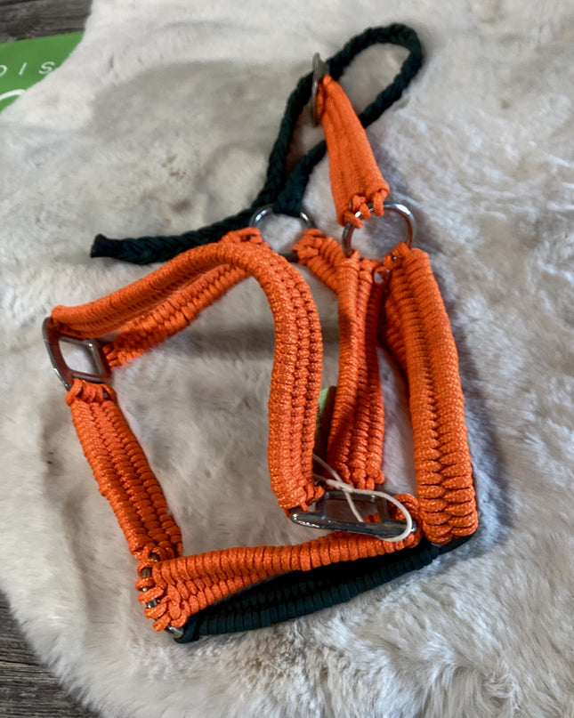 Halter Nylon orange Horse Size