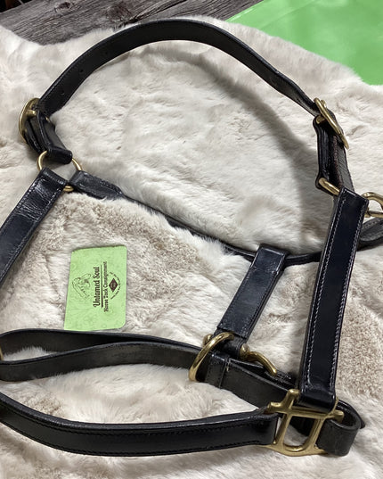 Halter Leather  Black