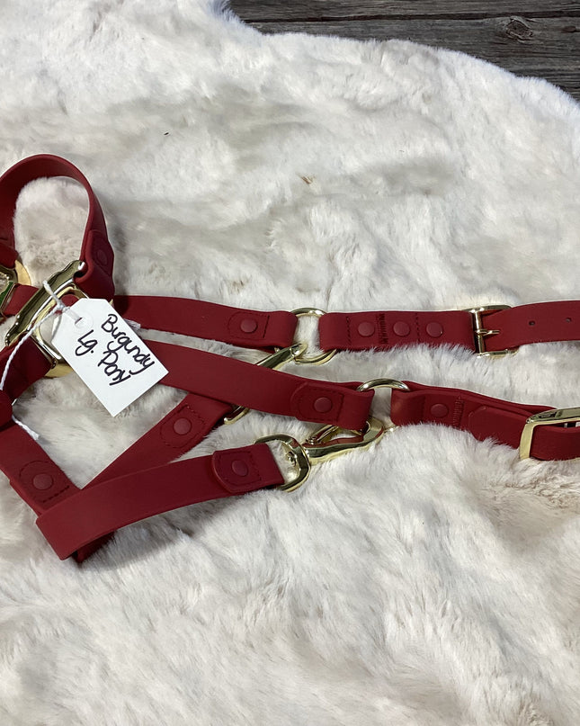 Halter Large Pony Burgundy iCavalos Collection