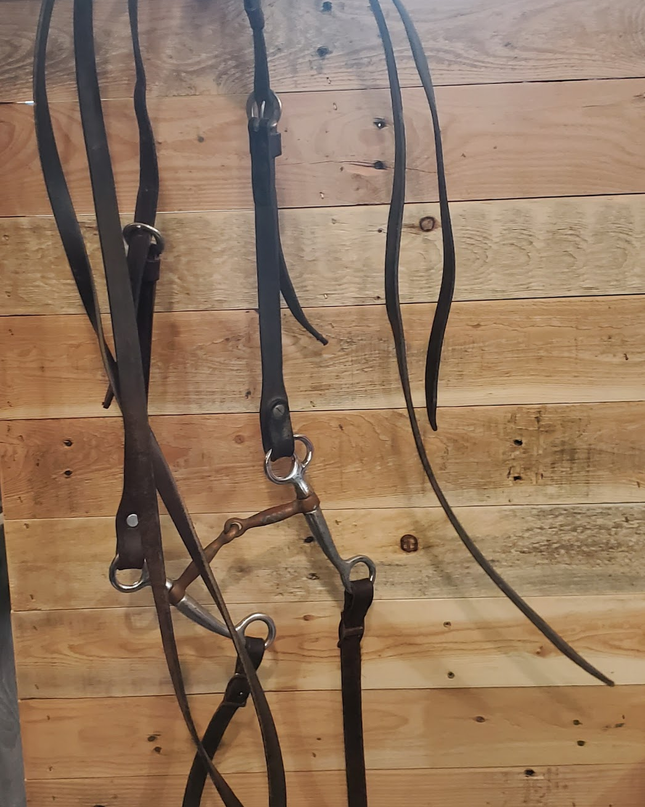 Western Headstalls One Ear w/ Bit & Reins