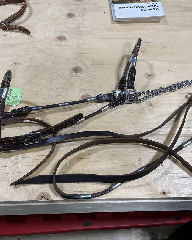 Show halter & lead with chain