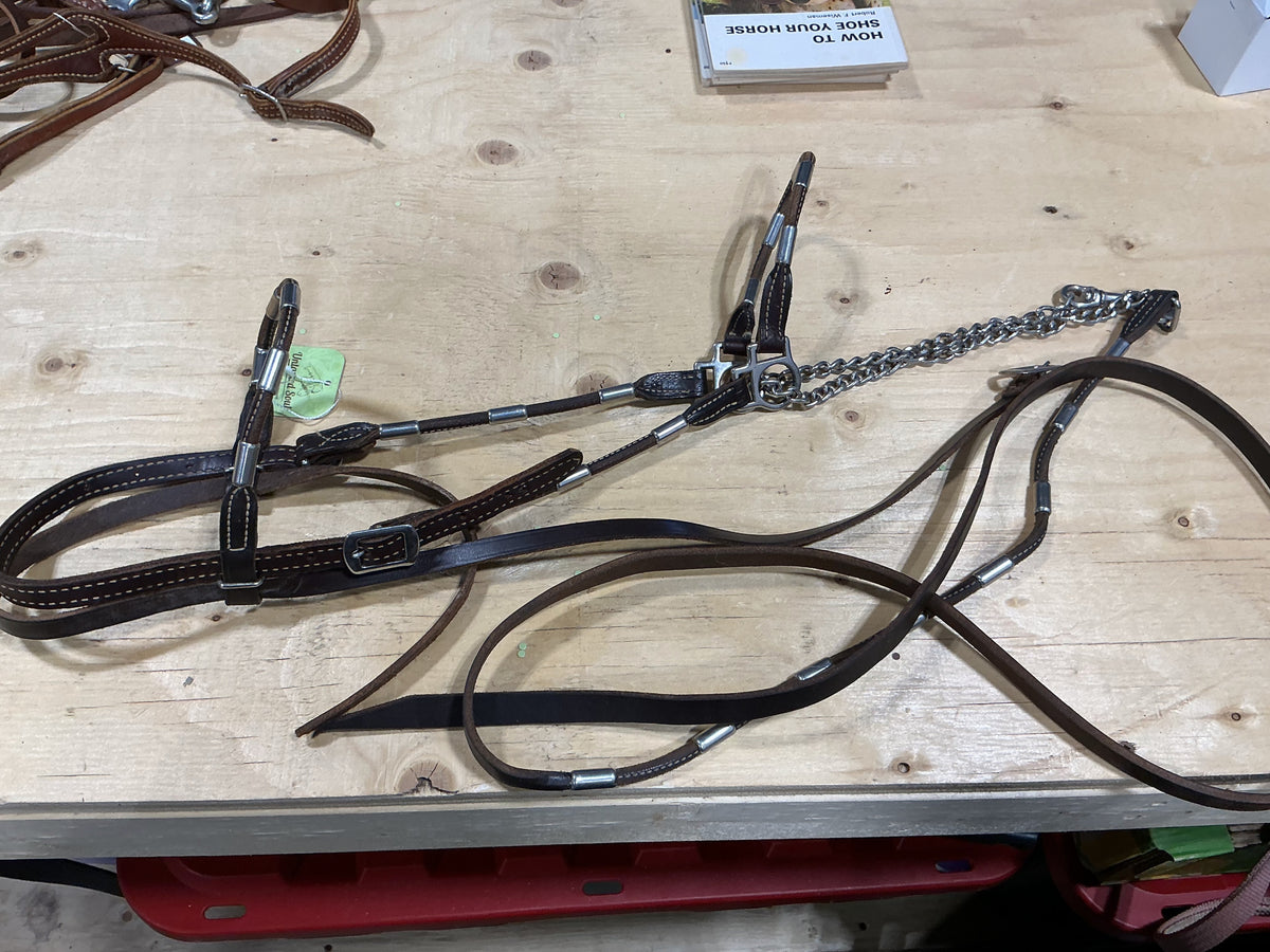 Show Halter – with Lead & Chain | Used