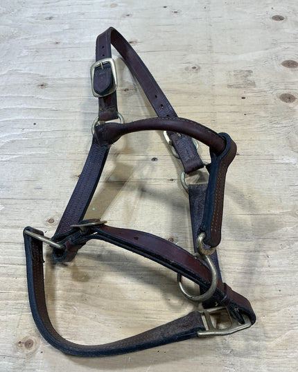 Halter Leather Brown Horse Size