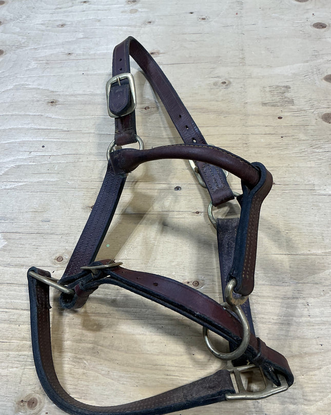 Halter Leather Brown Horse Size