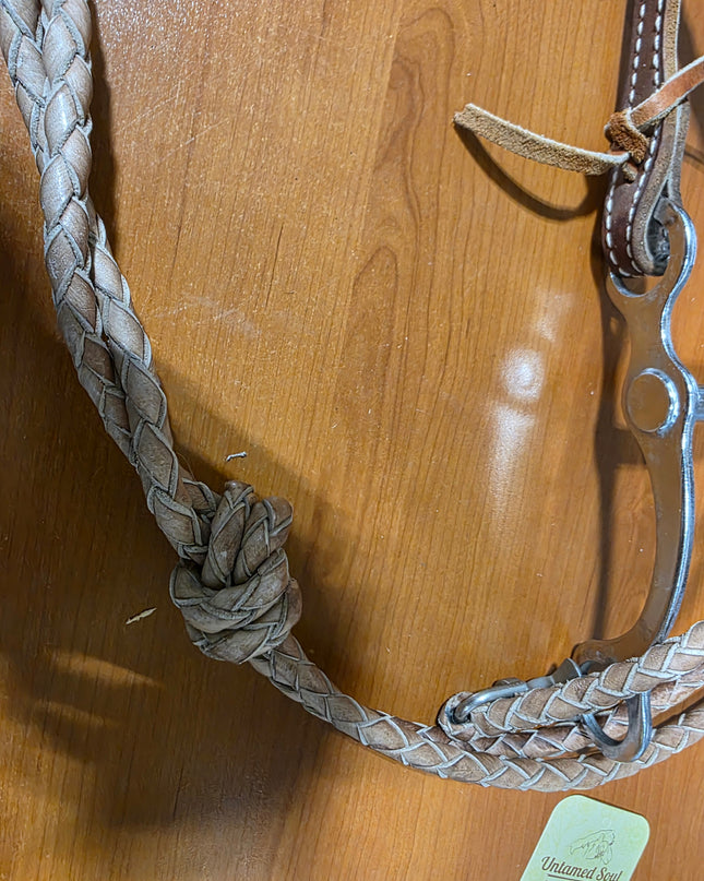 Western Headstall  Bit & Reins #4