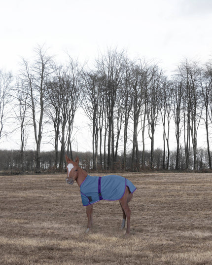 Foal Adjustable Turnout Blanket: Navy, Standard