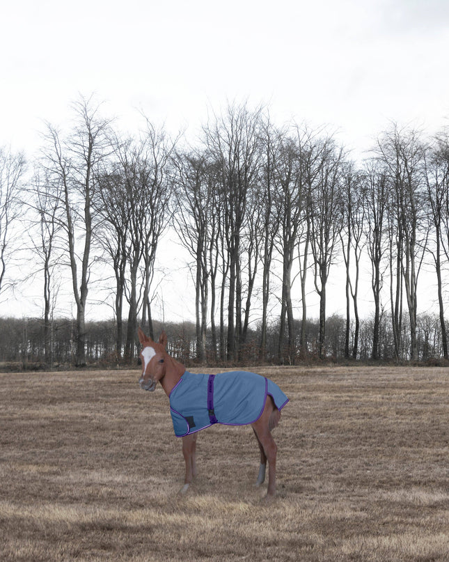 Foal Adjustable Turnout Blanket: Navy, Standard