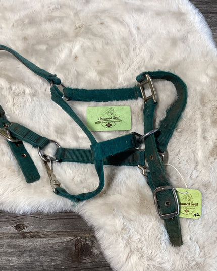 Halter Nylon Green Halte