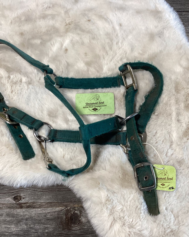 Halter Nylon Green Halte