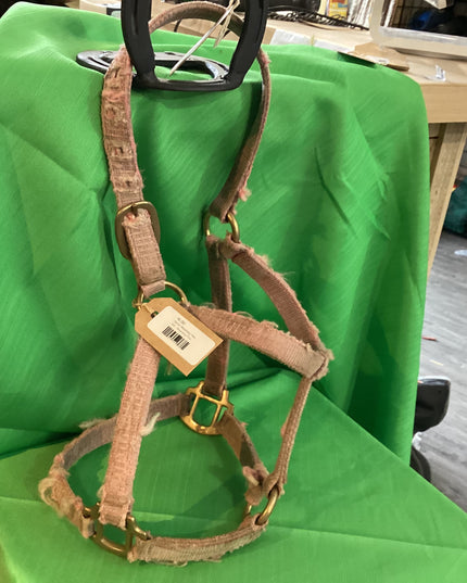 Halter Nylon Light Brown