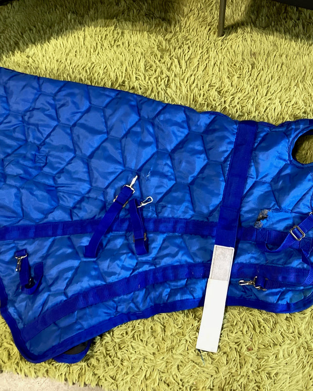 Neck Only Winter  Blue