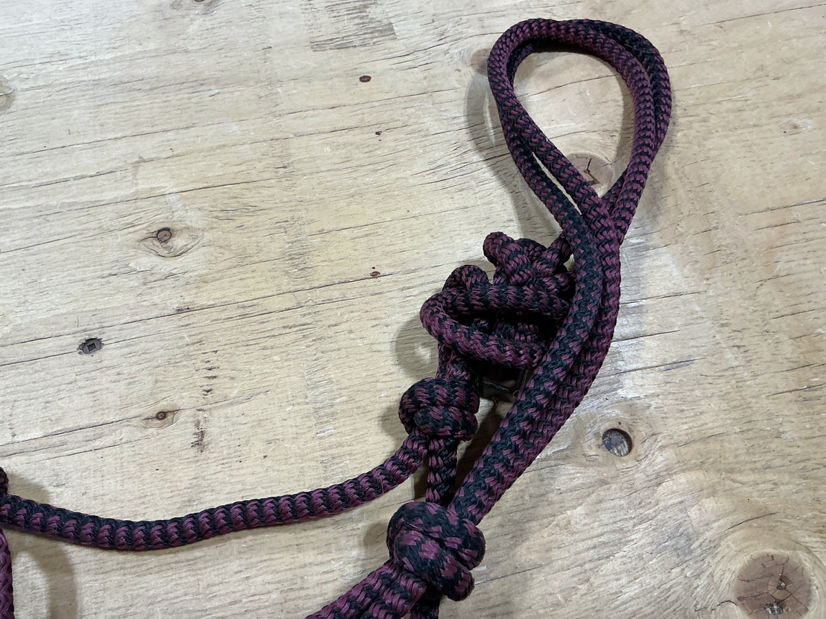 Halter – Rope, Burgundy/Black | Used