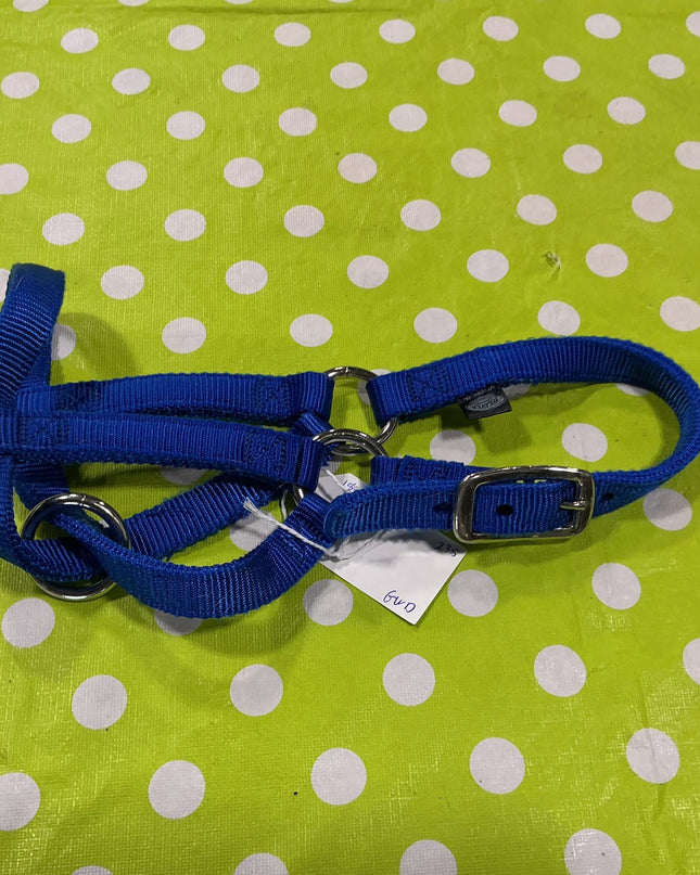 Halter Weaver Nylon Mini blue