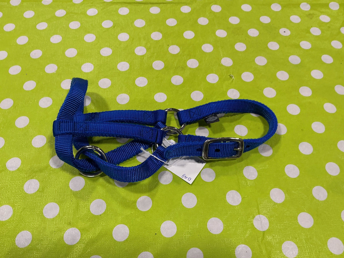 Halter – Weaver Nylon, Blue, Mini | Used