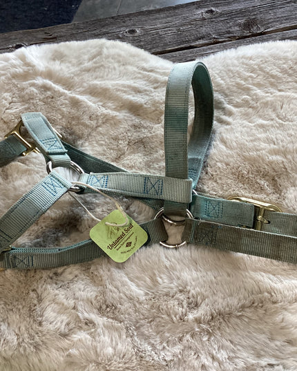 Halter Nylon Average Size