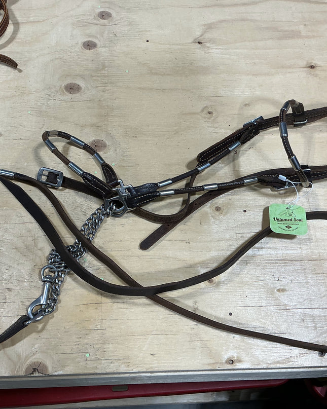 Show halter & lead with chain