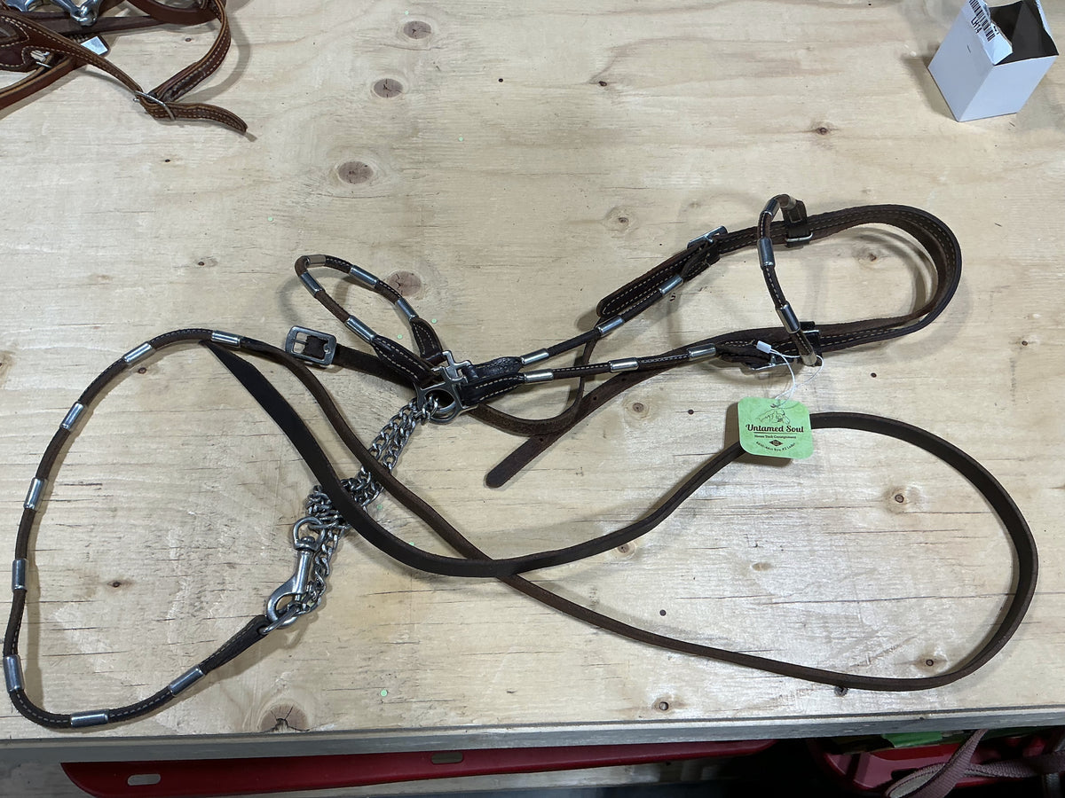 Show Halter – with Lead & Chain | Used