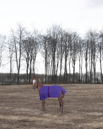 Foal Adjustable Turnout Blanket: Navy, Standard