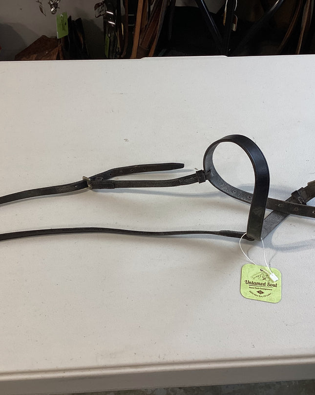 English Nose Band