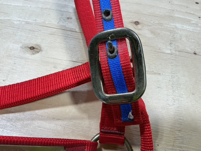 Halter Red & Blue