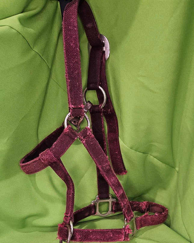 Halter Nylon Burgundy