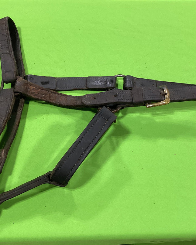 Halter Leather  Draft Size