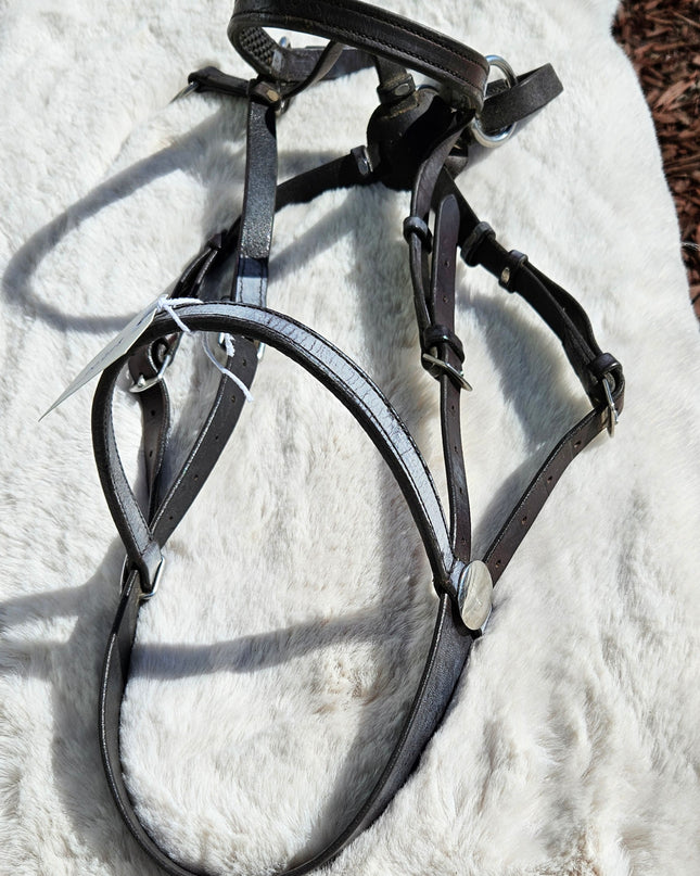 English Bridle Natural Horse