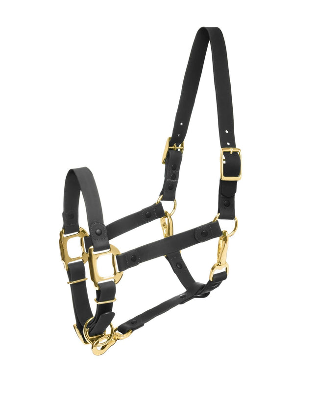 Halter Black Cob iCavalos Collection