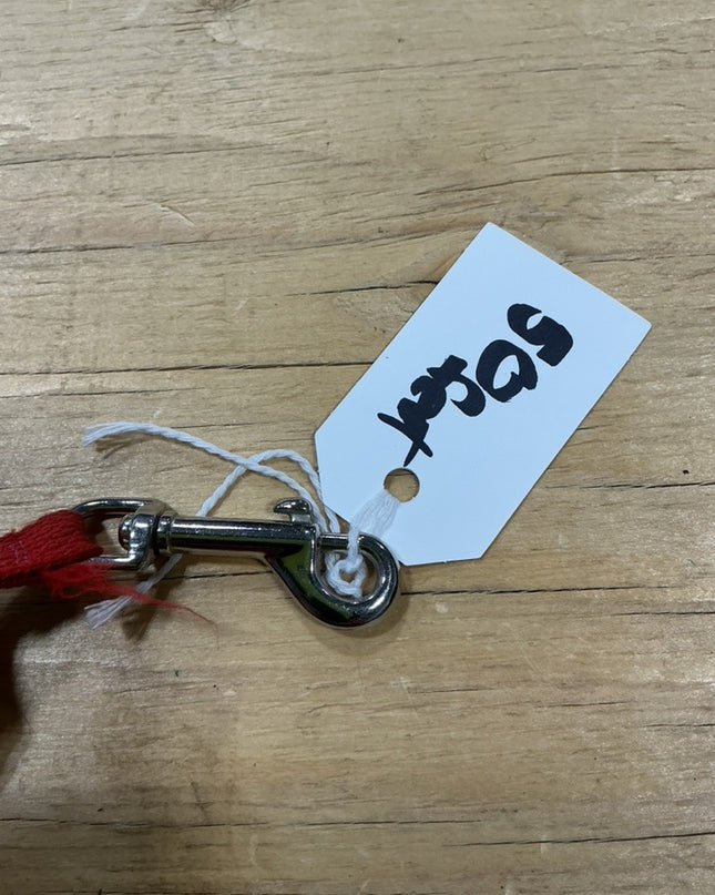 Dog Leash 50ft Red