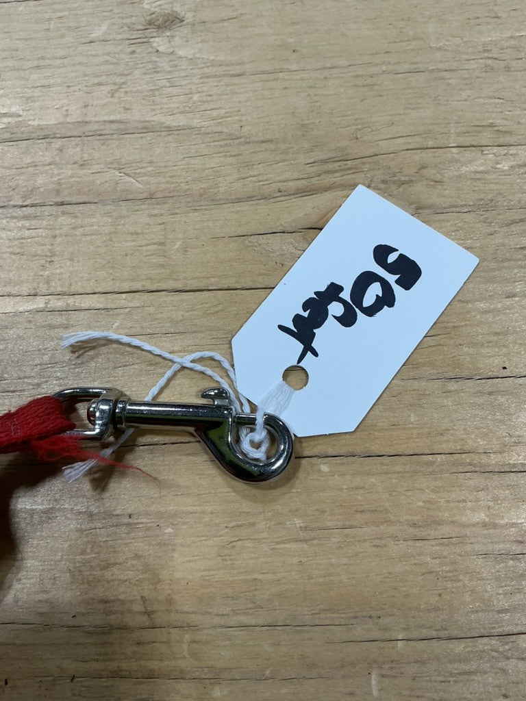 Dog Leash – Red, 50 ft | Used