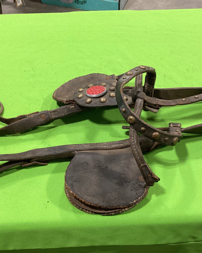 Draft Leather Bridles Older
