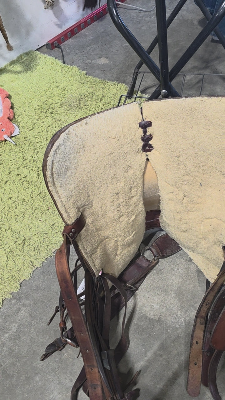 Western Saddle – S15" G7" with Back Cinch & Breast Collar | Used, Good